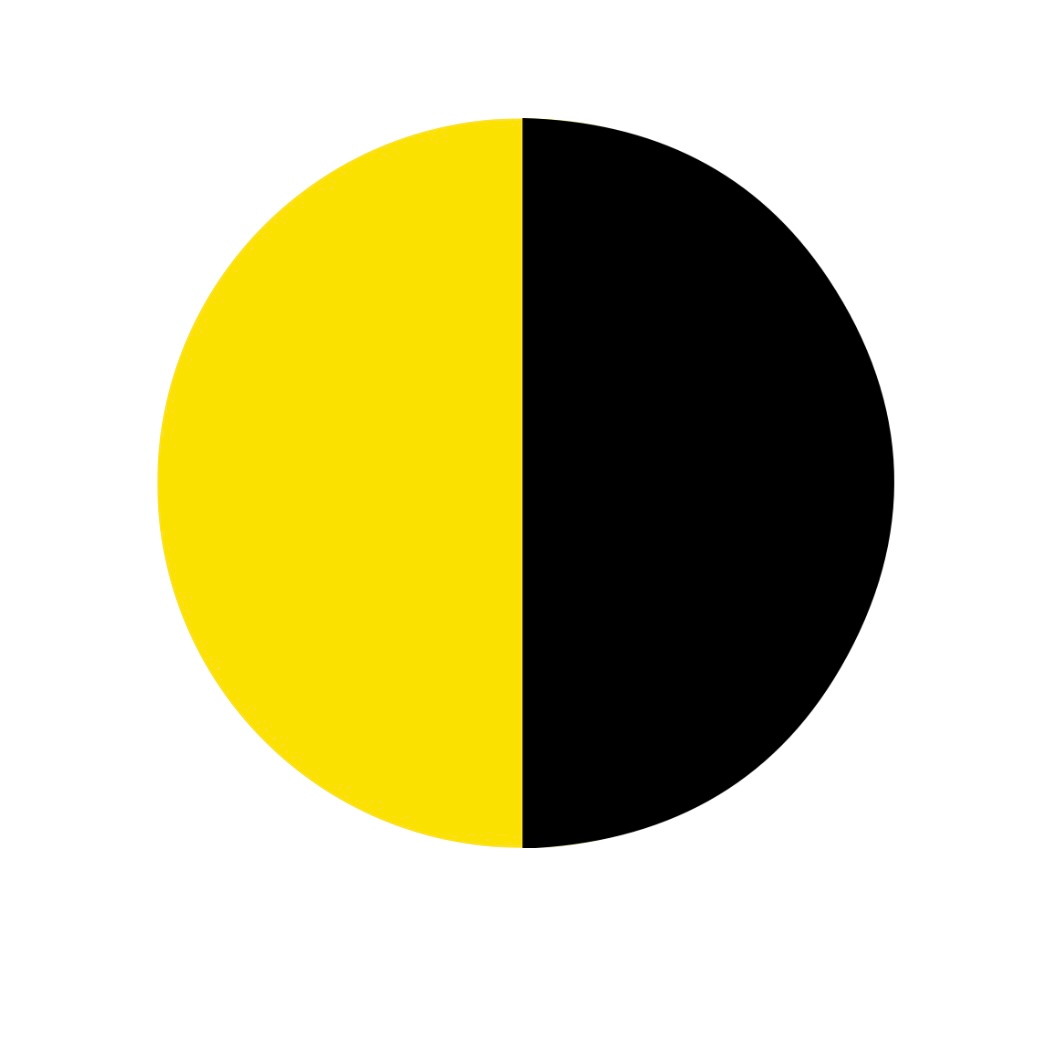 Borussia Dortmund