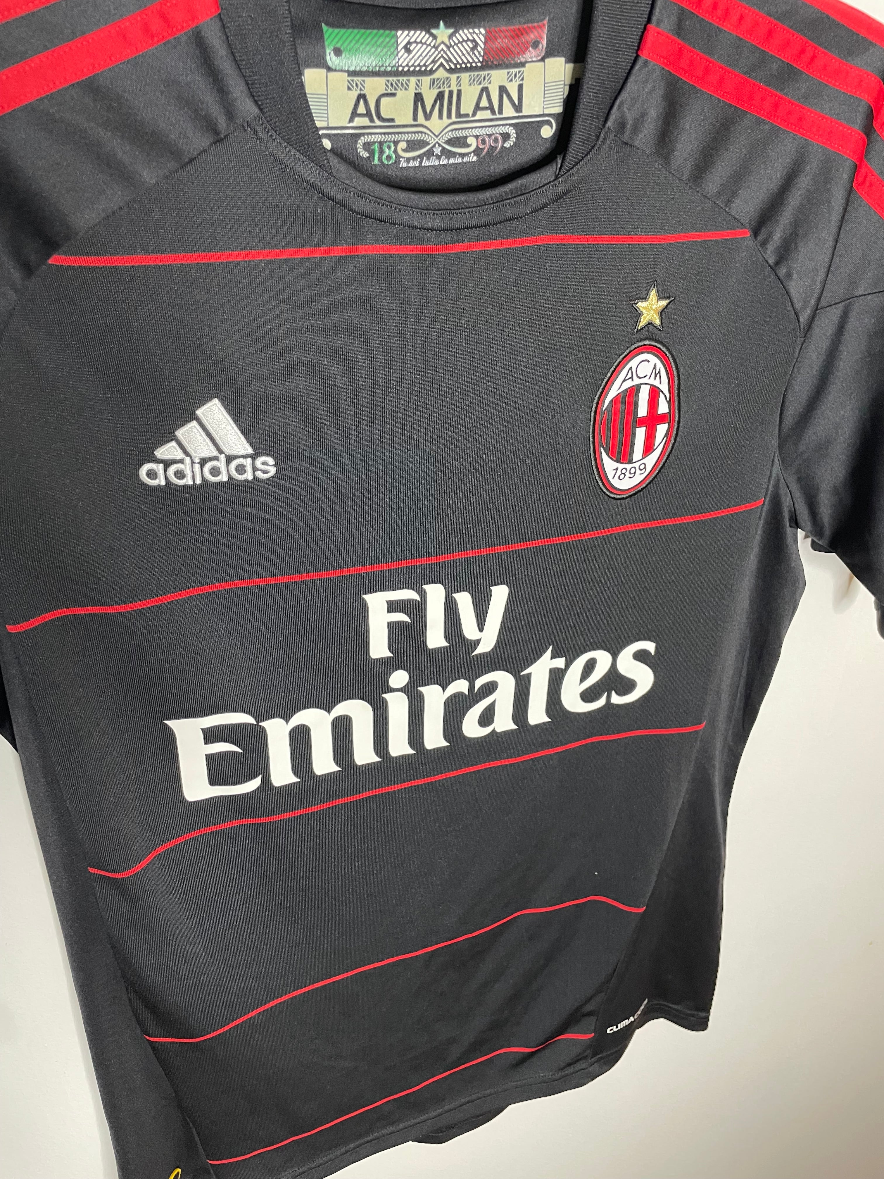 AC Milan 2010-11 Tredjetröja Ronaldinho #80 Small